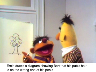 bert and ernie tree meme - Ernie draws a diagram showing Bert that his pubic hair is on the wrong end of his penis