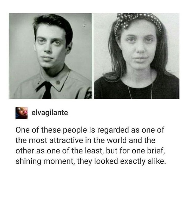 random pic young steve buscemi angelina jolie - elvagilante One of these people is regarded as one of the most attractive in the world and the other as one of the least, but for one brief, shining moment, they looked exactly a.