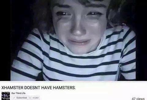 random pic xhamster doesnt have hamsters - Xhamster Doesnt Have Hamsters. Our Third Life absorbed 364 47 views