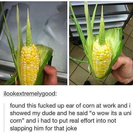 corn jokes - ilookextremelygood found this fucked up ear of corn at work and i showed my dude and he said "o wow its a uni corn" and i had to put real effort into not slapping him for that joke