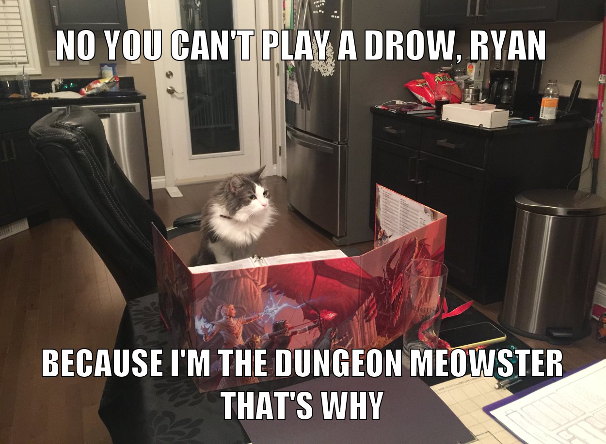 room - No You Can'T Play A Drow, Ryan Because I'M The Dungeon Meowster That'S Why