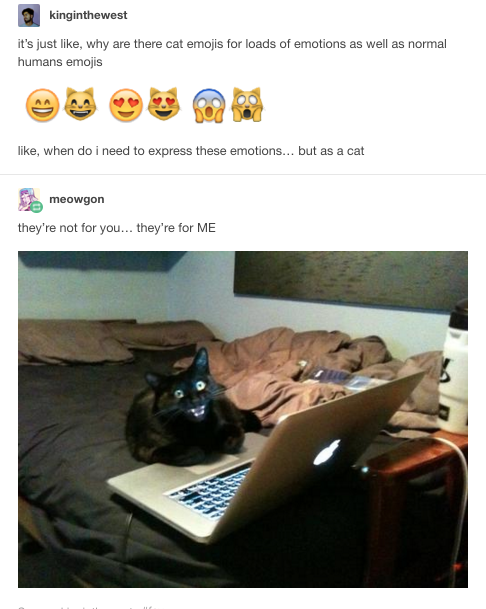 photo caption - kinginthewest it's just , why are there cat emojis for loads of emotions as well as normal humans emojis , when do i need to express these emotions... but as a cat meowgon they're not for you... they're for Me
