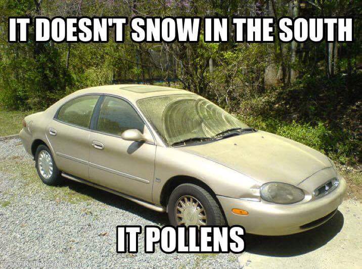 florida pollen meme - It Doesn'T Snow In The South It Pollens
