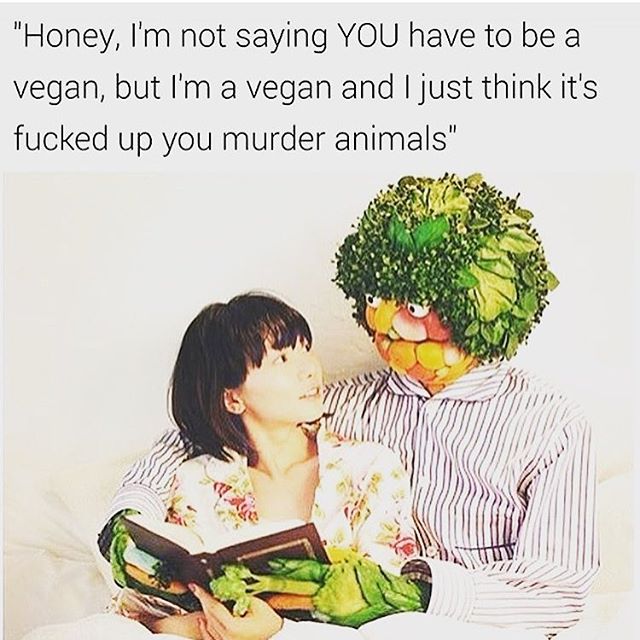 i m not vegan - "Honey, I'm not saying You have to be a vegan, but I'm a vegan and I just think it's fucked up you murder animals"