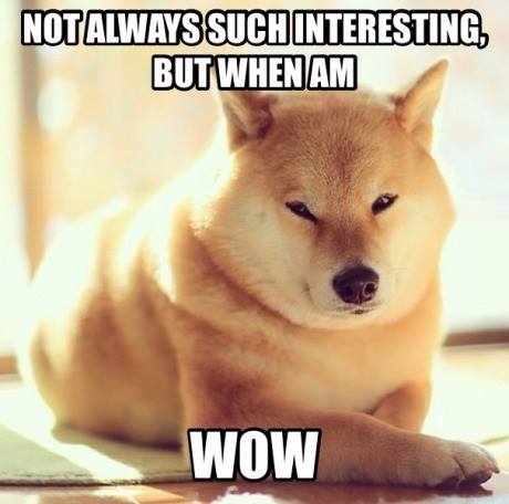 most interesting doge in the world - Notalways Such Interesting, But When Am Wow