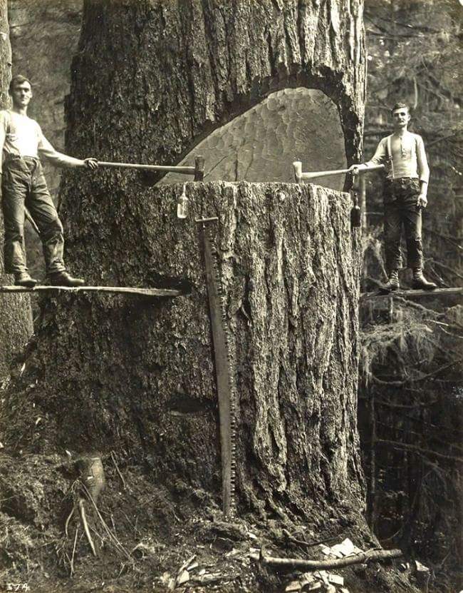 Lumberjacks in 1915.