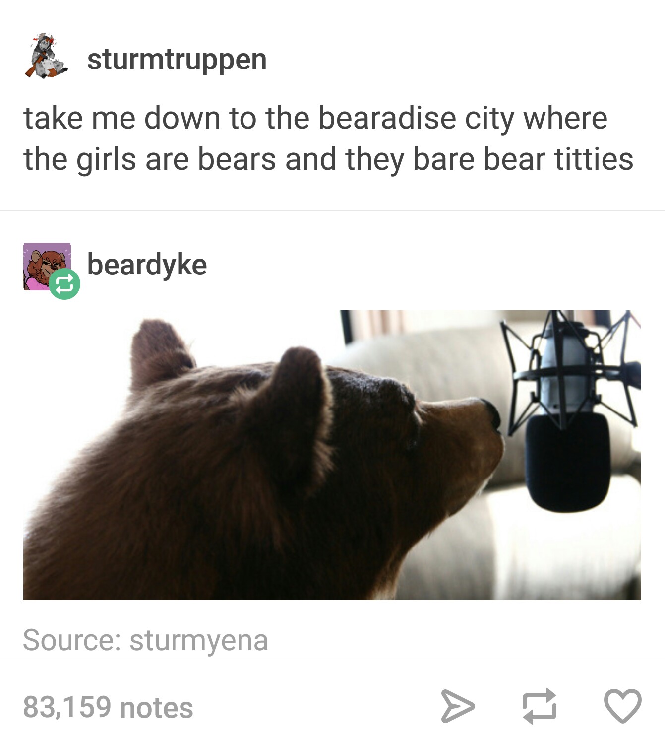 take me down to bearadise city - sturmtruppen take me down to the bearadise city where the girls are bears and they bare bear titties beardyke Source sturmyena 83,159 notes