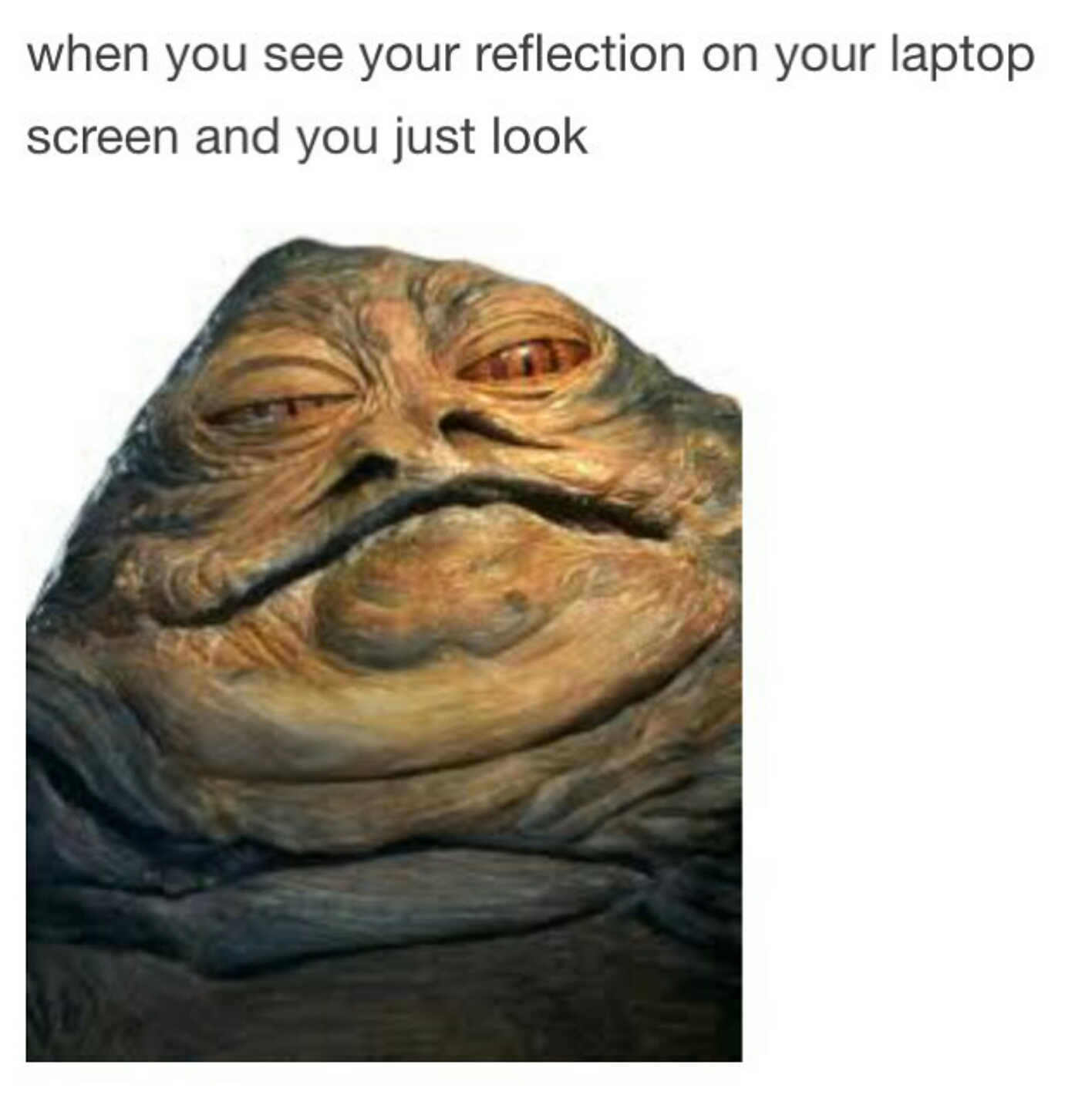 jabba the hutt chin - when you see your reflection on your laptop screen and you just look