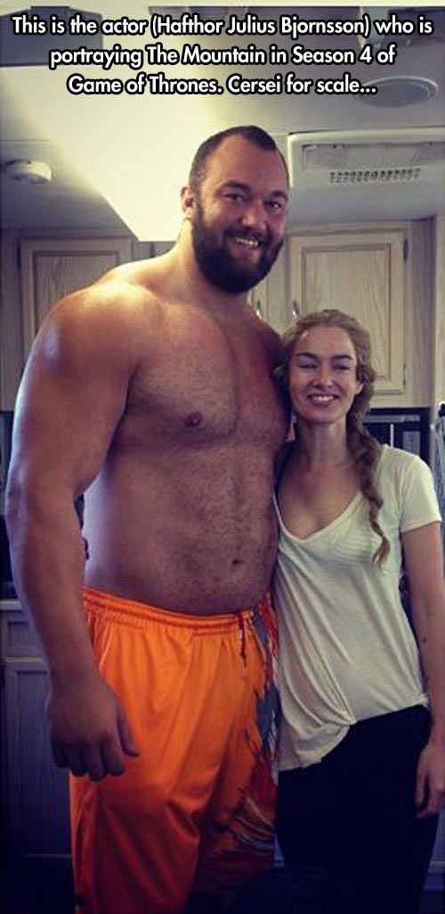 mountain and cersei - This is the actor Hafthor Julius Bjornsson who is portraying The Mountain in Season 4 of Game of Thrones. Cersei for scale...