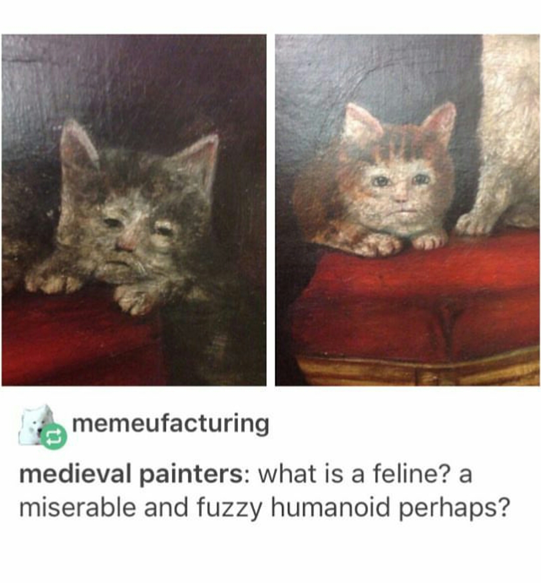 cats look in medieval paintings - memeufacturing medieval painters what is a feline? a miserable and fuzzy humanoid perhaps?