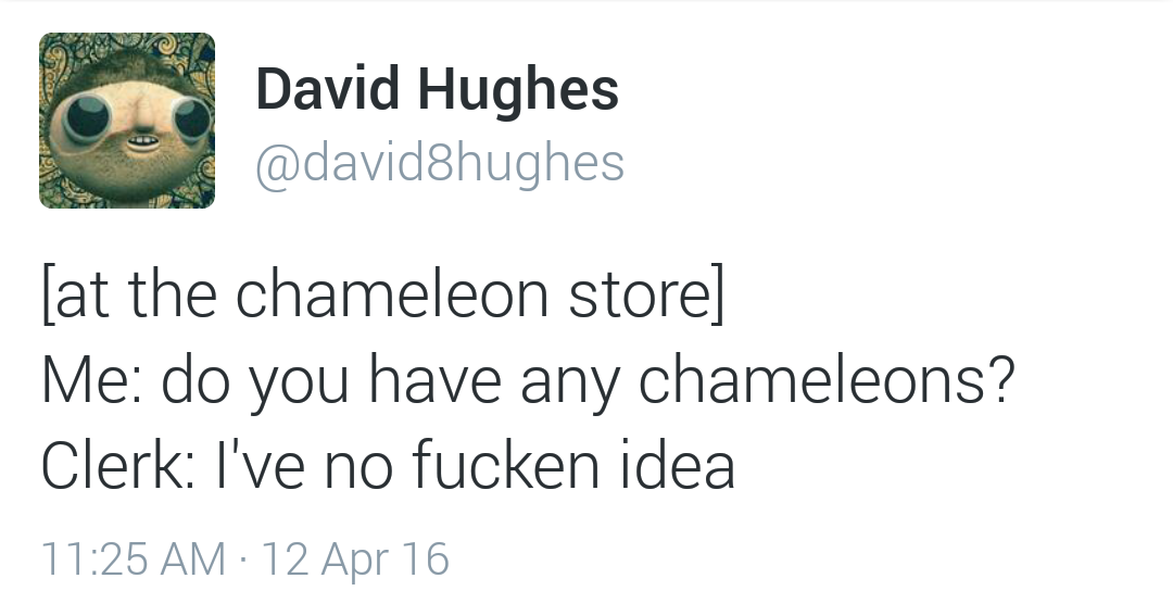 erykah badu twitter neck - David Hughes at the chameleon store Me do you have any chameleons? Clerk I've no fucken idea 12 Apr 16