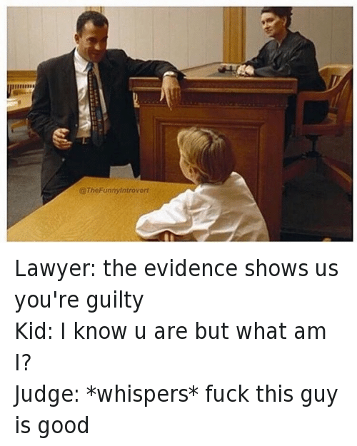 lawyer kid meme - TheFunnyintrovert Lawyer the evidence shows us you're guilty Kid I know u are but what am Judge whispers fuck this guy is good