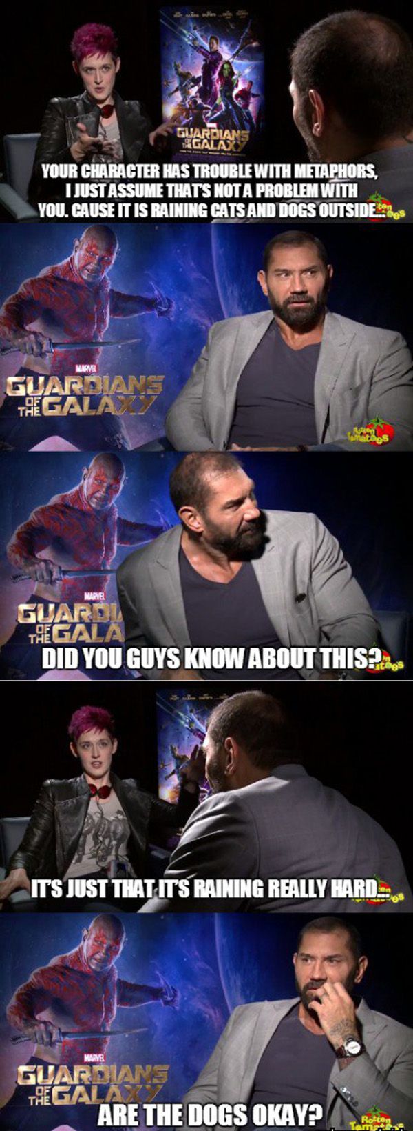 avengers 5 memes - Guardian &Galas Your Character Has Trouble With Metaphors. I Just Assume Thats Not A Problem With You. Cause It Is Raining Cats And Dogs Outside Guardians The Galaxy 9 Guarol Taegala Did You Guys Know About This? It'S Just That It'S Rai