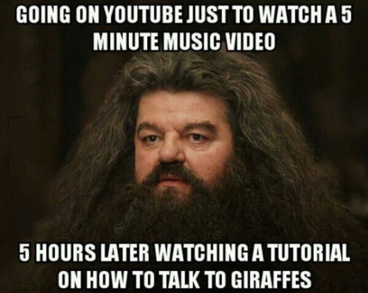 funny memes about youtube - Going On Youtube Just To Watch A 5 Minute Music Video 5 Hours Later Watching A Tutorial On How To Talk To Giraffes