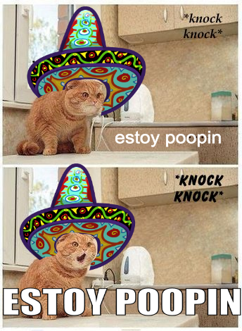 estoy poopin - C C knock knock estoy poopin Knock Knock Estoy Poopin
