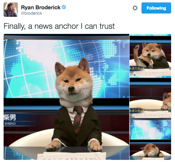 news anchor i can trust - Ryan Broderick broderick ing Finally, a news anchor I can trust Shbao