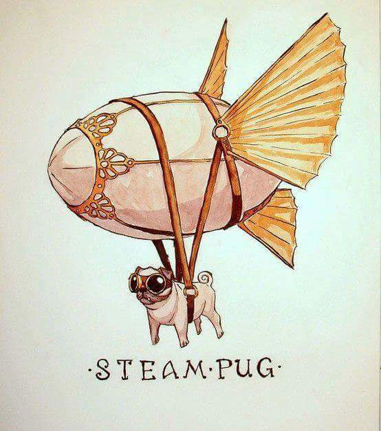 steam pug - Steam.Pug