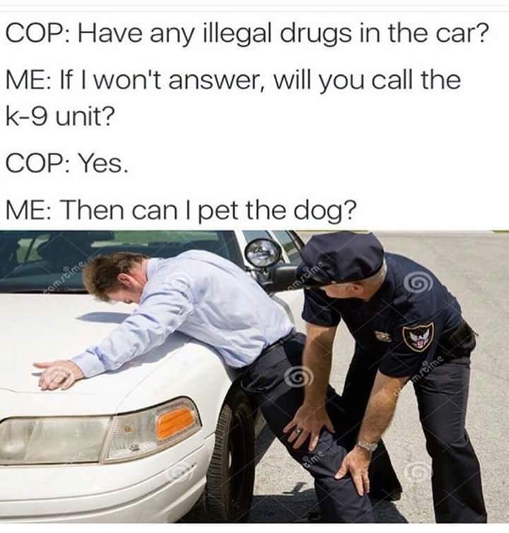 cop asks about drugs meme - Cop Have any illegal drugs in the car? Me If I won't answer, will you call the k9 unit? Cop Yes Me Then can I pet the dog? me time mrtime Inted