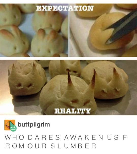 memes - bunny cookies - Expectation Reality buttpilgrim Who Dares Awaken Us F Rom Our Slumber