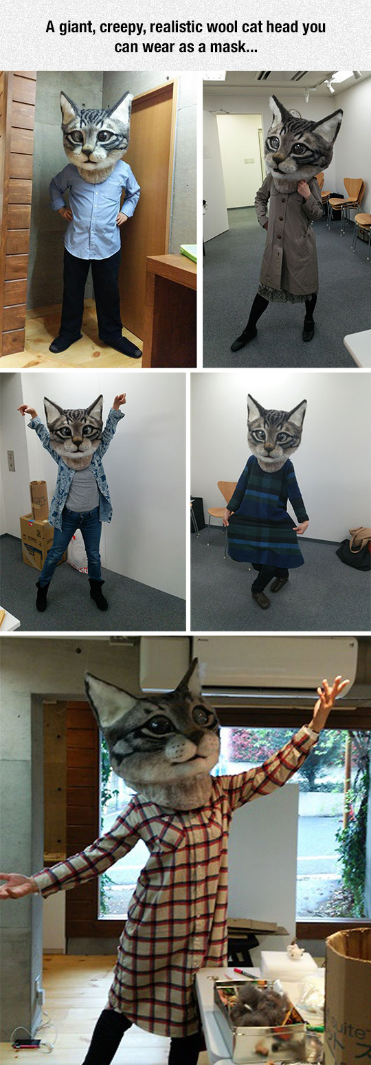 increase your social status at school - A giant, creepy, realistic wool cat head you can wear as a mask...