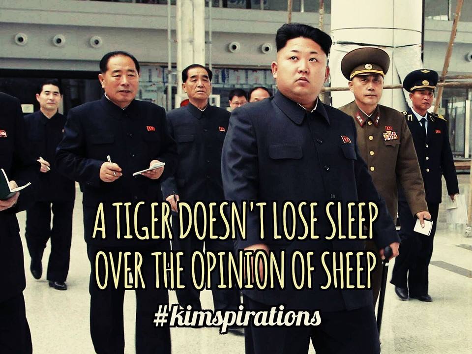 just kim things - U A Tiger Doesn'T Lose Sleep Over The Opinion Of Sheep 1