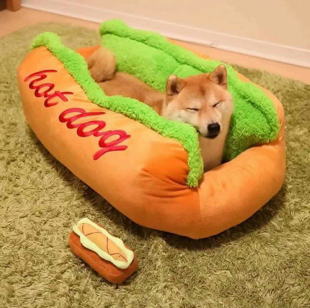 hot dog dog bed - hot doo