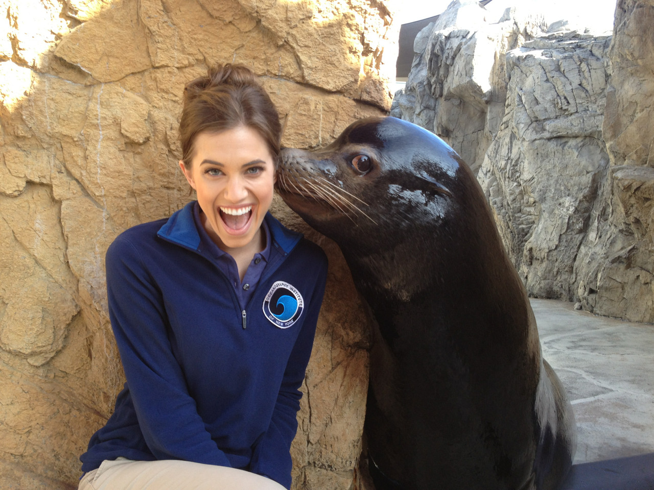 allison williams seal