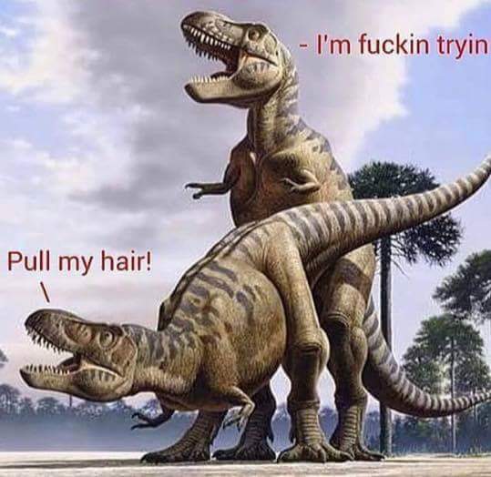 funny t rex meme - I'm fuckin tryin Pull my hair!