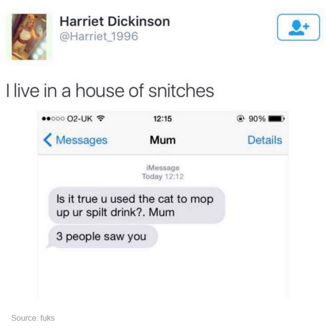 web page - Harriet Dickinson I live in a house of snitches .000 O2Uk @ 90%