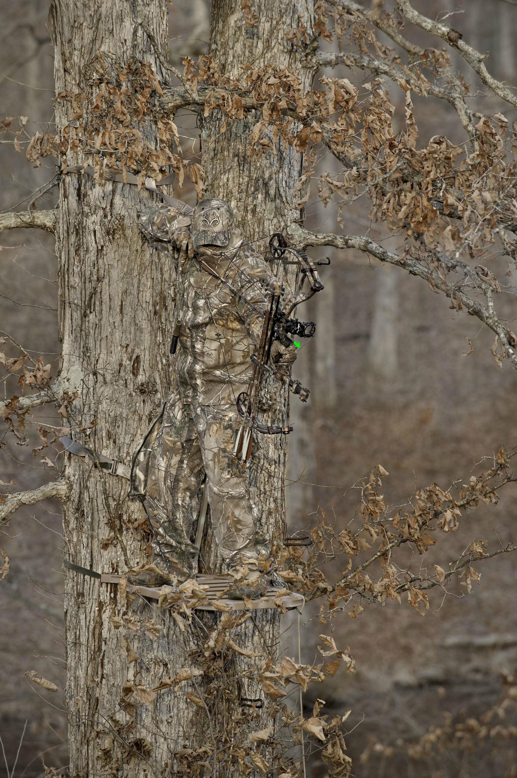 camo bow hunting