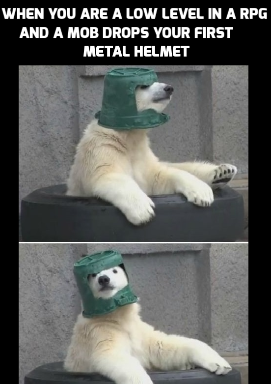 memes - polar bear bucket helmet - When You Are A Low Level In A Rpg And A Mob Drops Your First Metal Helmet