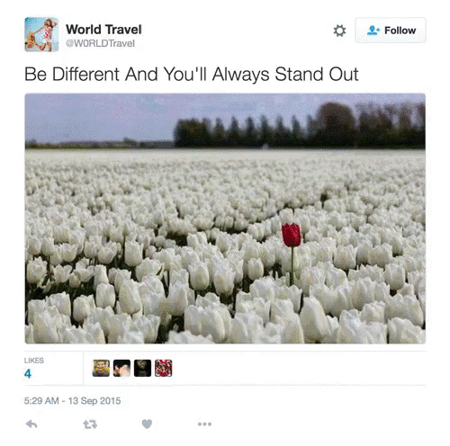 memes - r therewasanattempt - World Travel World Travel Be Different And You'll Always Stand Out