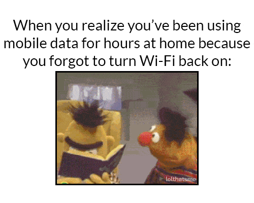 memes - bert sesame street - When you realize you've been using mobile data for hours at home because you forgot to turn WiFi back on lolthatsme