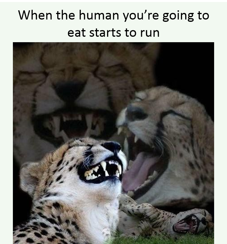 memes - there no gambling in africa - When the human you're going to eat starts to run
