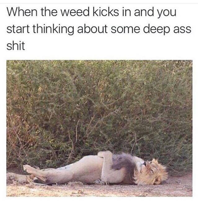 deep ass - When the weed kicks in and you start thinking about some deep ass shit