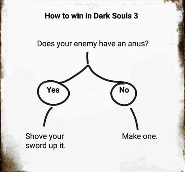 dark souls lore flowchart - How to win in Dark Souls 3 Does your enemy have an anus? Yes No Make one. Shove your sword up it.