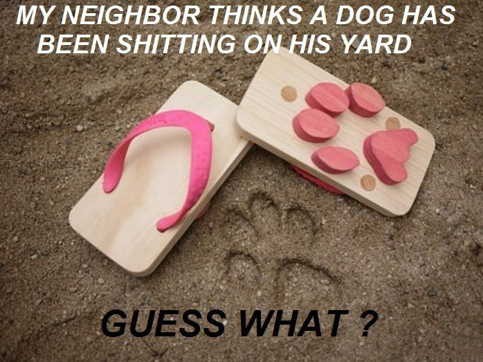 my neighbor thinks a dog has been shitting in his yard - My Neighbor Thinks A Dog Has Been Shitting On His Yard Guess What?