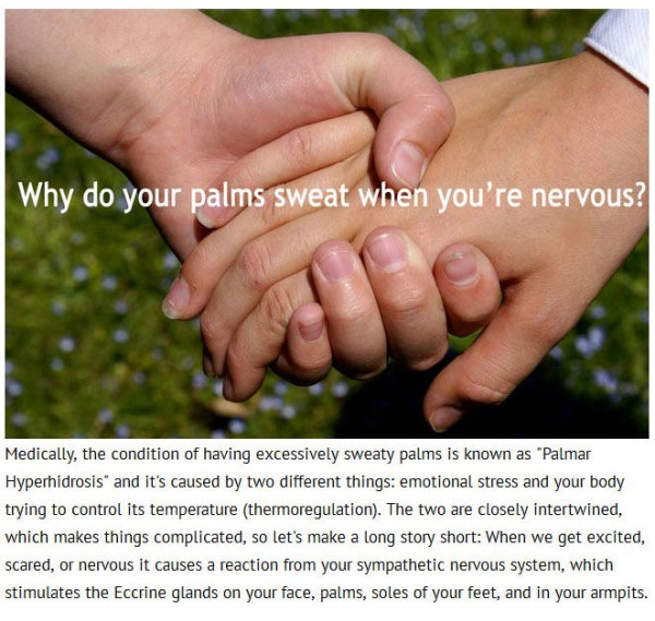 16 Questions You Didn't Know You Wanted Answered By Science