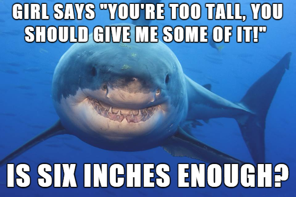 great white shark - Girl Says "You'Re Too Tall, You Should Give Me Some Of It!" Is Six Inches Enough?