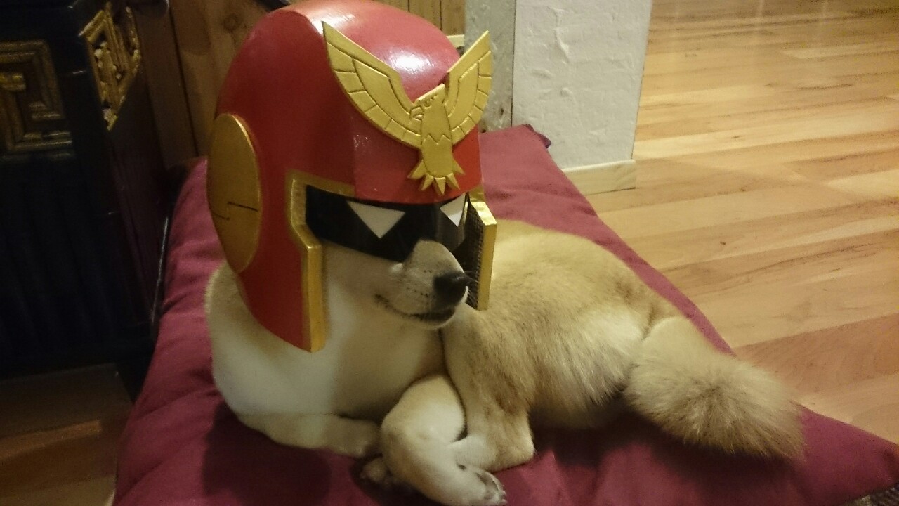 captain falcon furry