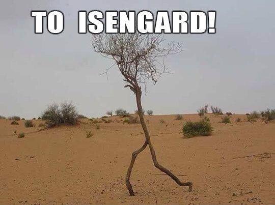 memes - run forest run - To Isengard!