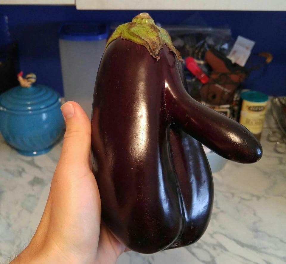 eggplant penis