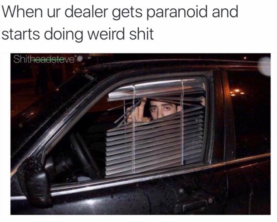 your dealer gets paranoid and starts doing weird shit - When ur dealer gets paranoid and starts doing weird shit Shitheadsteve