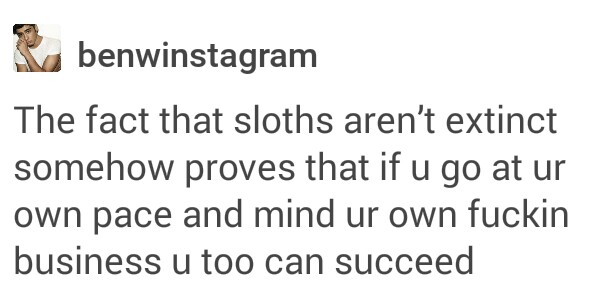 fact that sloths aren t extinct - benwinstagram The fact that sloths aren't extinct somehow proves that if u go at ur own pace and mind ur own fuckin business u too can succeed