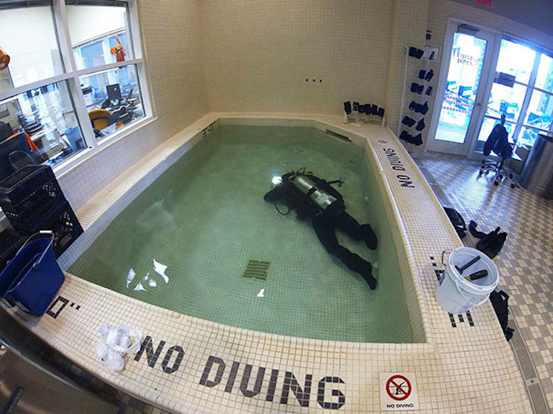people breaking the rules - Www On " No Diving Ouing No Divno