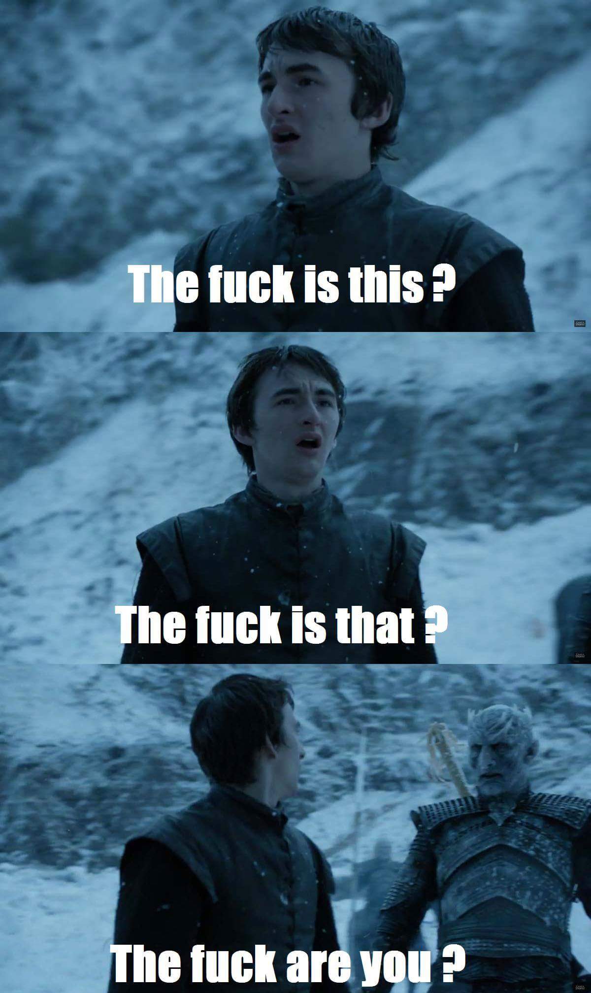 bran memes game of thrones - The fuck is this? The fuck is that? The fuck are you?