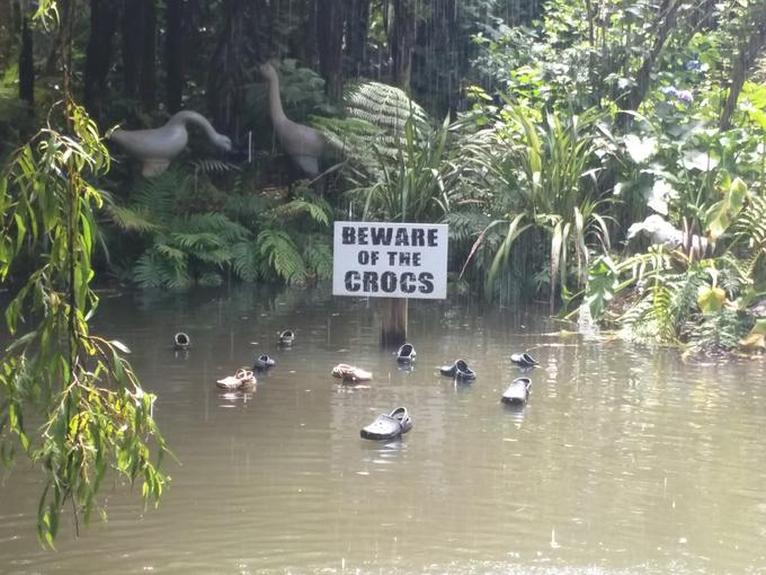 beware of the crocs - Beware Of The Crocs