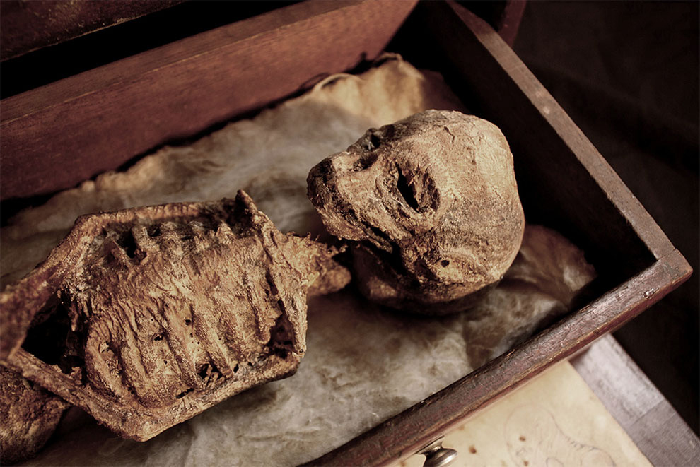 Bodies Of Strange Creatures Found In An Old House Basement In London