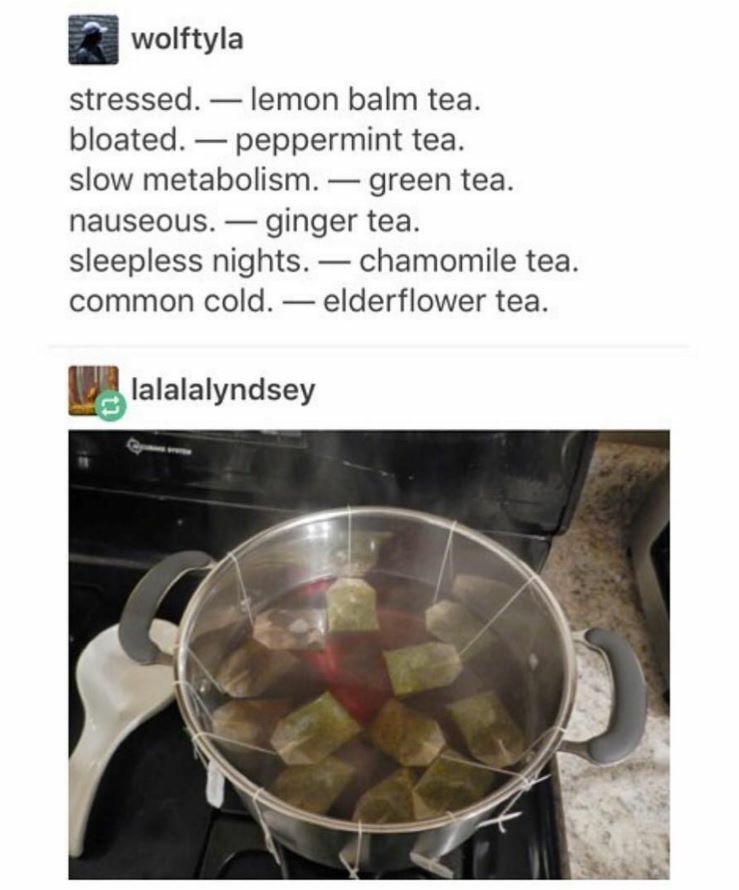 tea tumblr post - wolftyla stressed. lemon balm tea. bloated. peppermint tea. slow metabolism. green tea. nauseous. ginger tea. sleepless nights. chamomile tea. common cold. elderflower tea. lalalalyndsey
