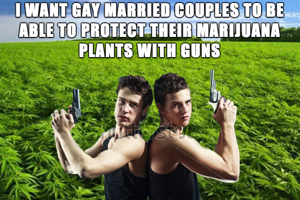 guns and weed meme - I Want Gay Married Couples To Be Able To Protect Their Marijuana Plants With Guns